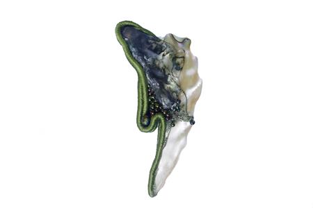 brooch: fabrics, moss agate, fresh water pearl, glass beads