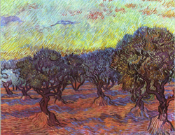 Van Gogh: 'Olive Trees'