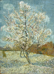 Van Gogh: 'Blossoms'